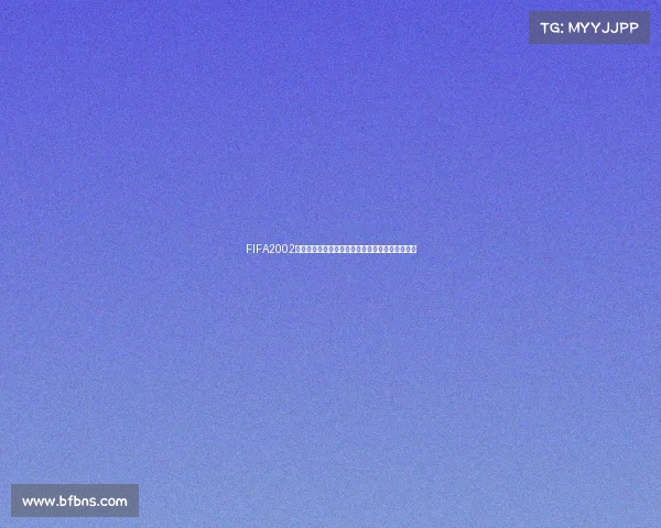 FIFA2002世界杯未压缩高清珍藏版完整赛事影像资料全记录